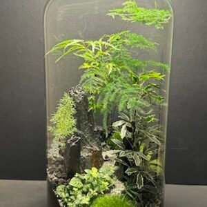 Mini-jardin T-543 prix 160 € (Vendu)