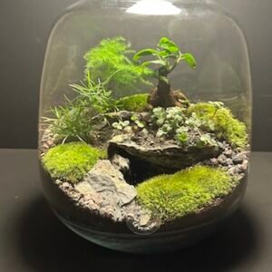 Mini-jardin T-570 (Vendu)