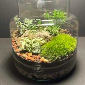 Mini-jardin T-573 (Vendu)