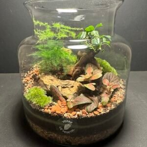Mini-jardin T-575 (Vendu)
