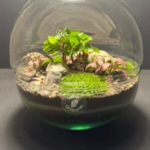 Mini-jardin Sphère T-578 (Vendu)