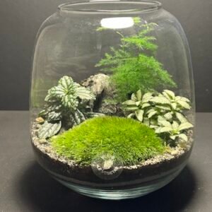 Mini Jardin T-582 (Vendu)