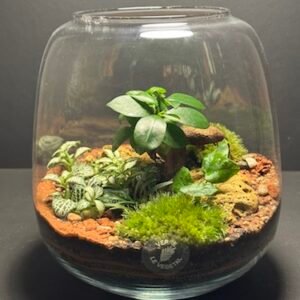 Mini Jardin T-583 (Vendu)