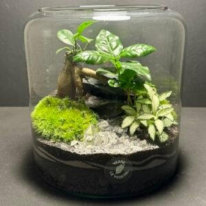 Mini Jardin T-587 (Vendu)
