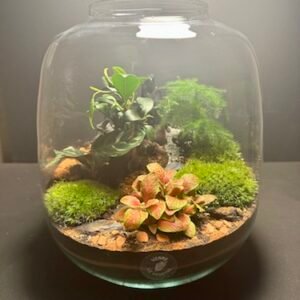 Mini Jardin T-590 (Vendu)