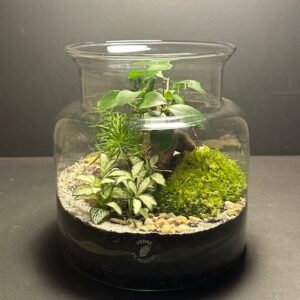 Mini Jardin T-592 (Vendu)