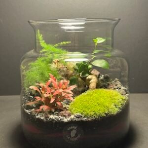 Mini Jardin T-593 prix 55 € (Vendu)