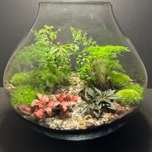 Mini Jardin T-595 goutte d'eau prix 175 € (Vendu)