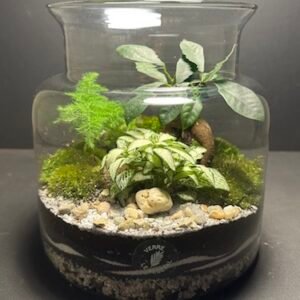 Mini Jardin T-596 prix 55 € (Vendu)