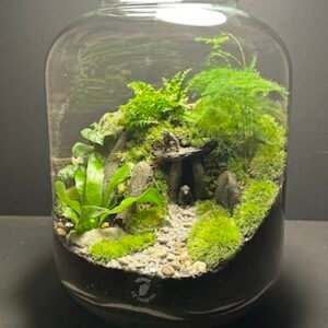 Mini Jardin T-597 prix 140 € (Vendu)