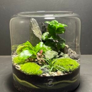Mini Jardin T-607 prix 60 € (Vendu)