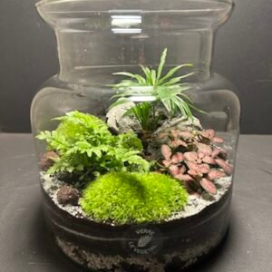 Mini Jardin T-609 prix 55 € (Vendu)