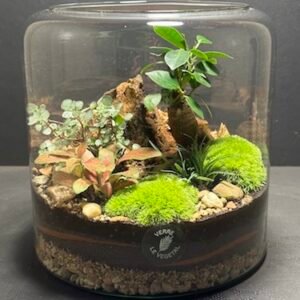 Mini Jardin T-606 prix 65 € (Vendu)