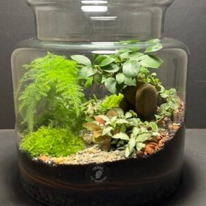 Mini Jardin T-623 prix 110 € (Vendu)