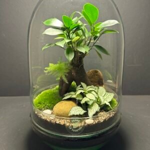 Mini Jardins T-633 prix 85 € (Vendu)