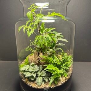 Mini Jardins T-634 prix 85 € (Vendu)