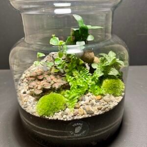 Mini Jardin T-637 prix 55 € (Vendu)