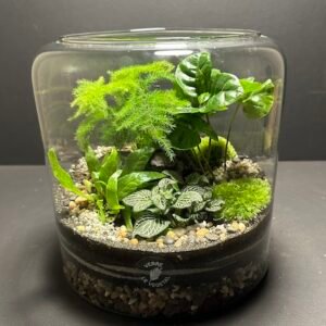 Mini Jardin T-636 prix 60 € (Vendu)