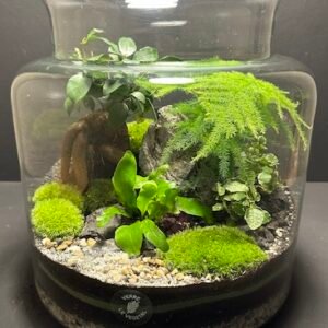 Mini Jardin T-638 (Vendu)