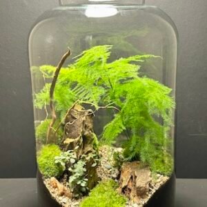 Mini Jardin T-639 prix 140 € (Vendu)