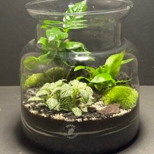 Mini Jardin T-642 prix 55 € (Vendu)