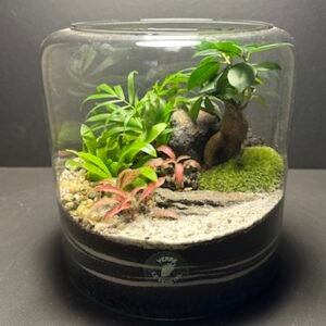 Mini Jardin T-643 prix 65 € (Vendu)