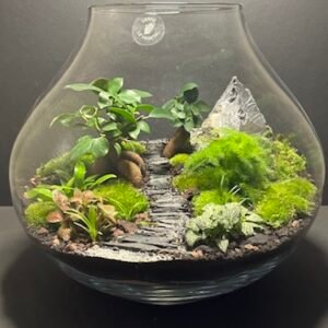 Mini Jardin T-646 prix 190 € (Vendu)