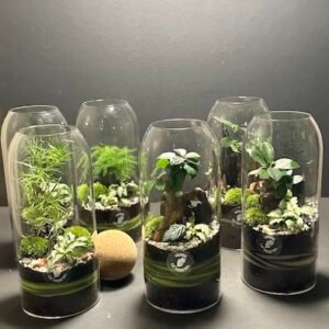 Minis jardins boule liège prix 35 € (Rupture)