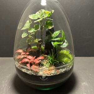 Mini-jardin Oeuf T-659 prix 75 € (Vendu)