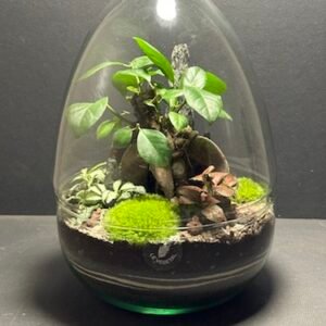 Mini-jardin Oeuf T-658 (Vendu)