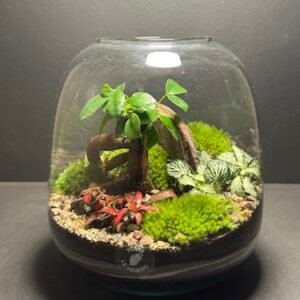 Mini-jardin T-665 prix 65 € (Vendu)