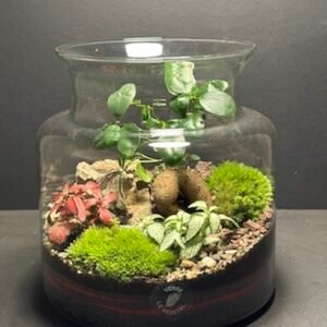 Mini-jardin T-667 prix 60 € (Vendu)
