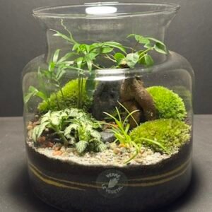Mini-jardin T-668 prix 60€ (Vendu)