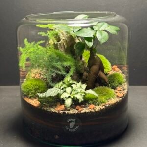 Mini-jardin T-669 prix 70 € (Vendu)