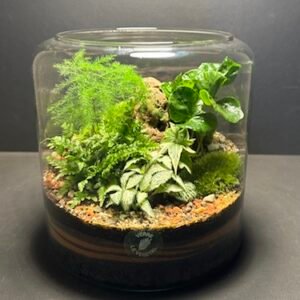 Mini-jardin T-673 prix 65 € (Vendu)