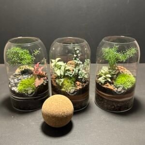 Mini-jardins Boule liège prix 25 € (Rupture)