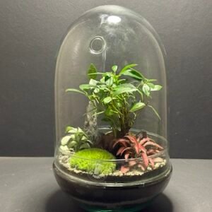 Mini-jardin T-676 prix 80 € (Vendu)