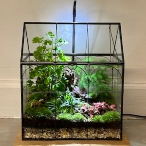 Mini-jardin T-681 Maison en verre prix 115 € (Vendu)