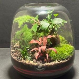 Mini-jardin T-684 prix 55 € (Vendu)