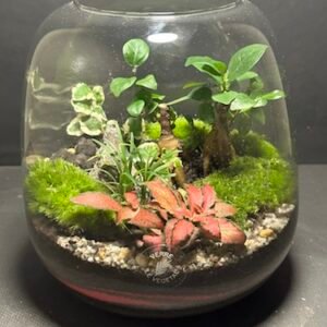 Mini-jardin T-687 prix 55 € (Vendu)