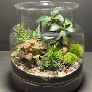 Mini-jardin T-690 prix 55 € (Vendu)
