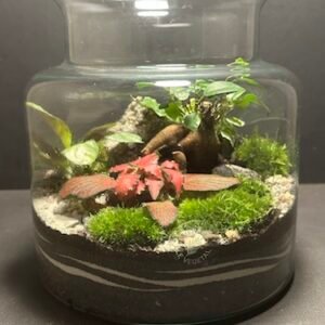 Mini-jardin T-699 prix 55 € (Vendu)