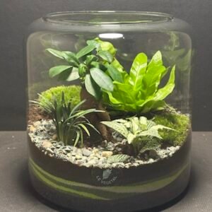 Mini-jardin T-704 prix 65 € (Vendu)