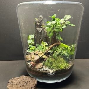 Mini-jardin T-705 prix 120 € (Vendu)