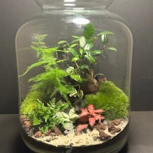 Mini-jardin T-707 (Vendu)
