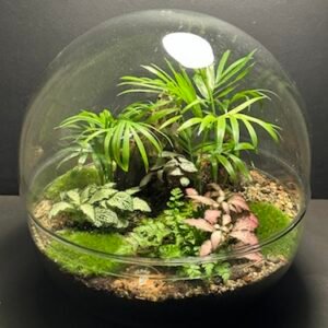 Mini-jardin T-710 prix 110 € (Vendu)