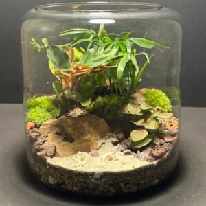 Mini-jardin T-713 prix 65 € (Vendu)