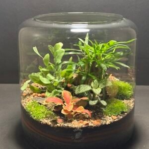 Mini-jardin T-714 prix 65 € (Vendu)