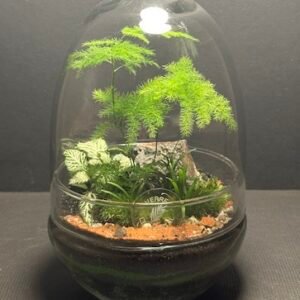Mini-jardin T-725 prix 40 € (Vendu)