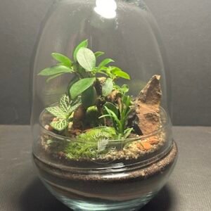 Mini-jardin T-726 prix 45 € (Vendu)